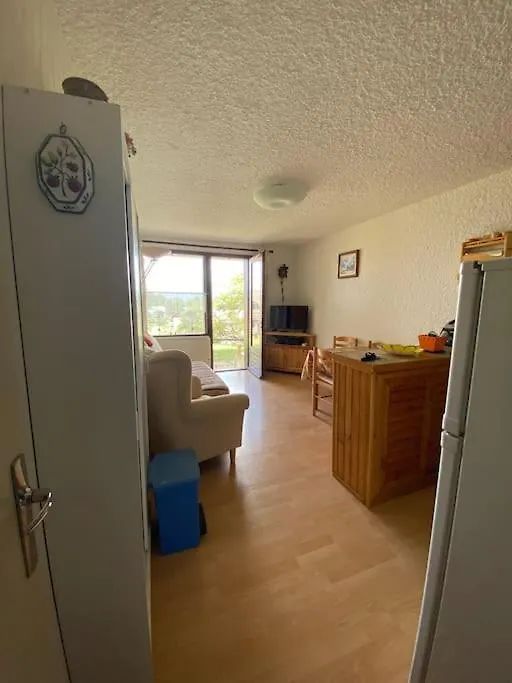 Lägenhet Laye Station - Appartement Pieds Des Pistes